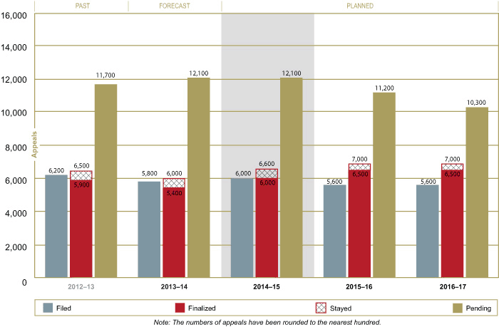 Immigration Appeal Trends and Projections