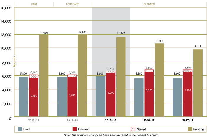 Immigration Appeal Trends and Projections